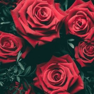 Meet your Posher, April